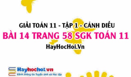 Giải bài 14 trang 58 Toán 11 tập 1 SGK Cánh Diều